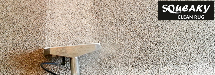 Remove Black Mold with Carpet Cleaning Services
