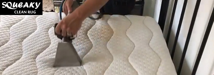 Professional Mattress Cleaning Services