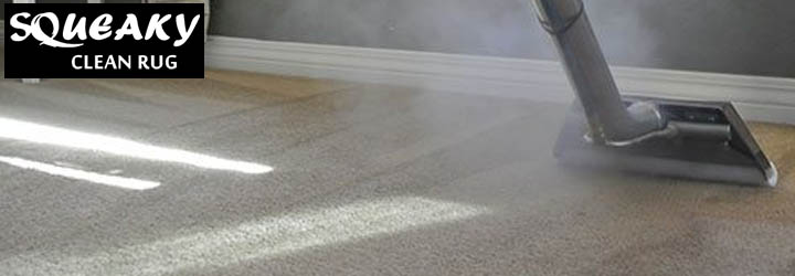 Best Carpet Steam Cleaning Services