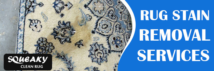 Rug Stain Removal Services