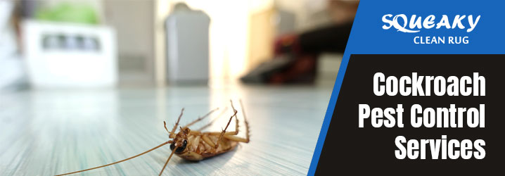 Professional Cockroach Pest Control