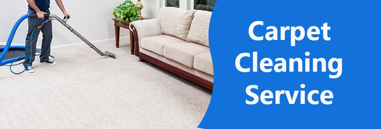 Which Types of Carpets are The Best?