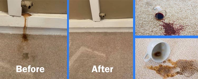Carpet Stain Removal Service