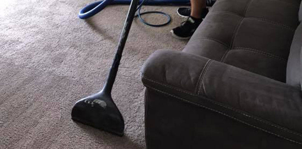 Rug and Carpet Cleaning Services.