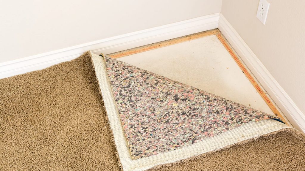 Carpet Mold Removal