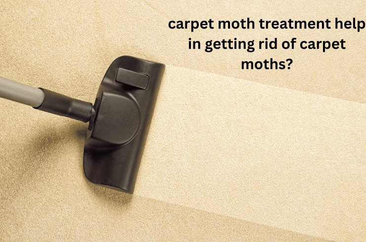 How-does-carpet-moth-treatment-help-in-getting-rid-of-carpet-moths